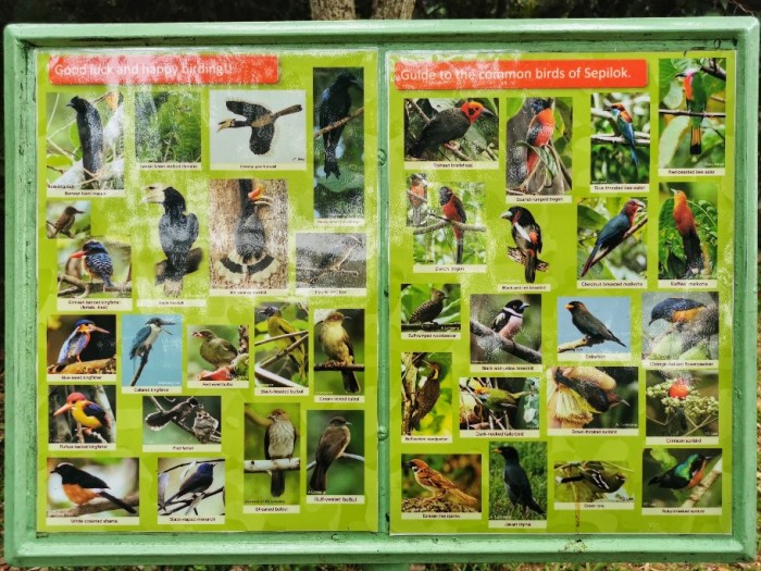 IMG_20190914_152216-01-912x684