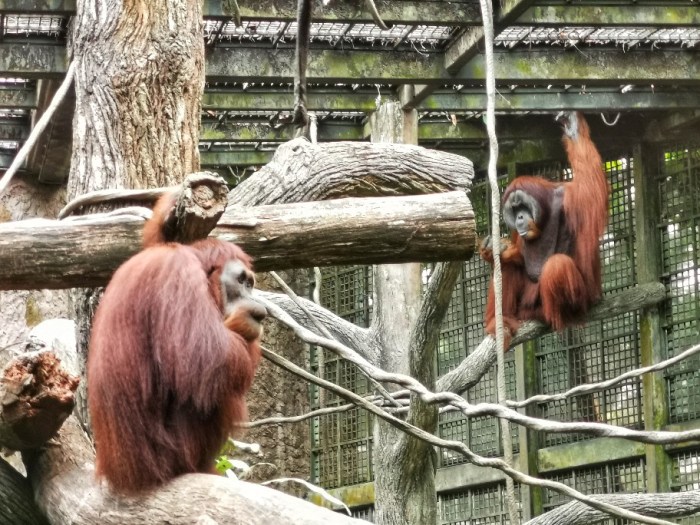 IMG_20190919_162400-01-912x684