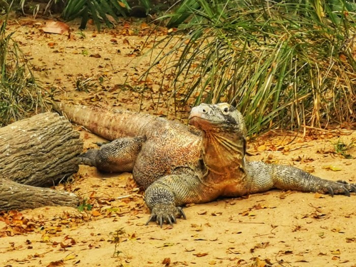 IMG_20190919_163124-01-912x684