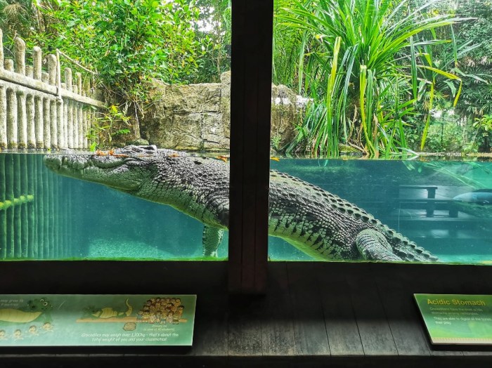 IMG_20190919_163729-01-912x683