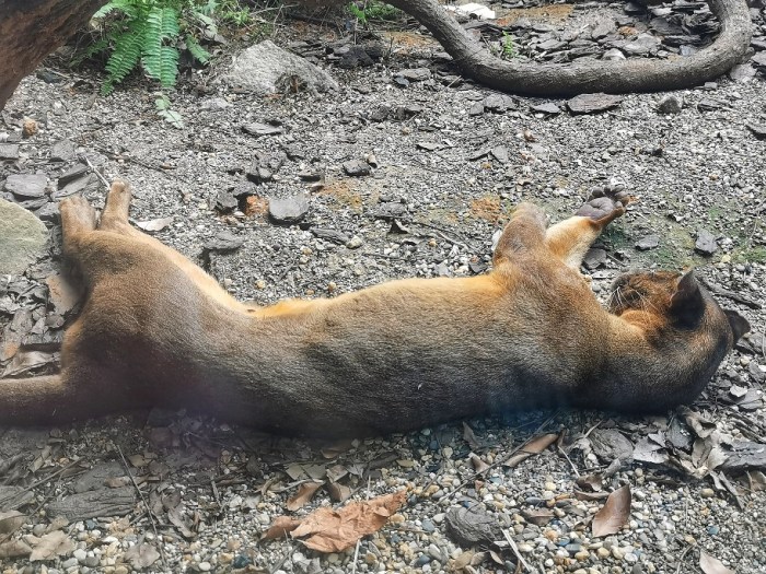 IMG_20190919_170459-01-912x684