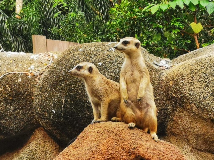 IMG_20190919_172107-01-912x682