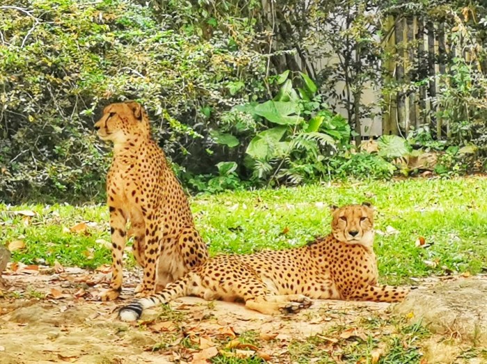 IMG_20190919_172218-01-912x683