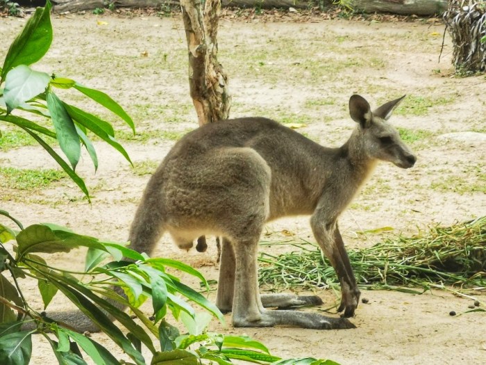 IMG_20190919_175034-01-912x684