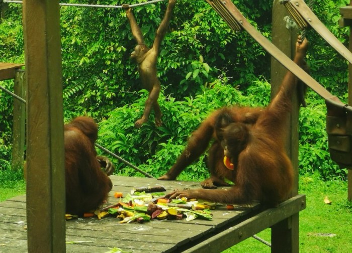 IMG_20190924_085546-912x657