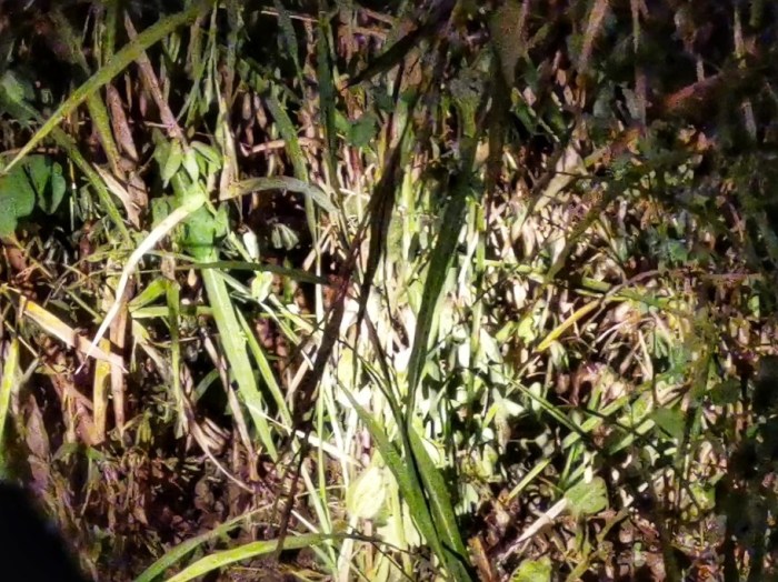 Screenshot_20190916_144350_com.huawei.himovie.overseas-01-01-912x683