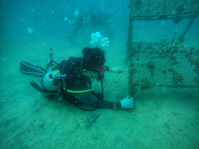 IMG-20191013-WA0016-01