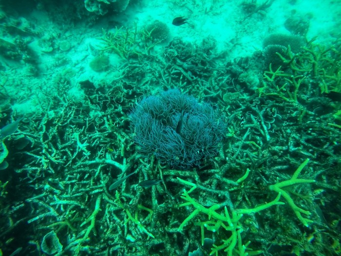 IMG-20191013-WA0017-01