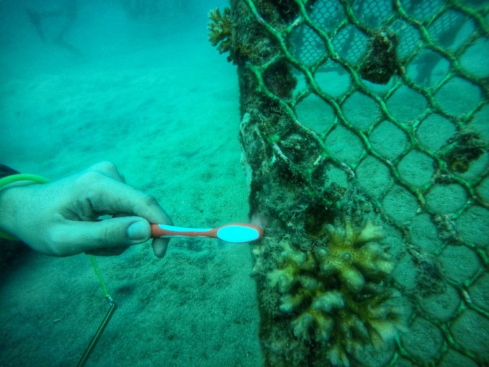 IMG-20191013-WA0018-01