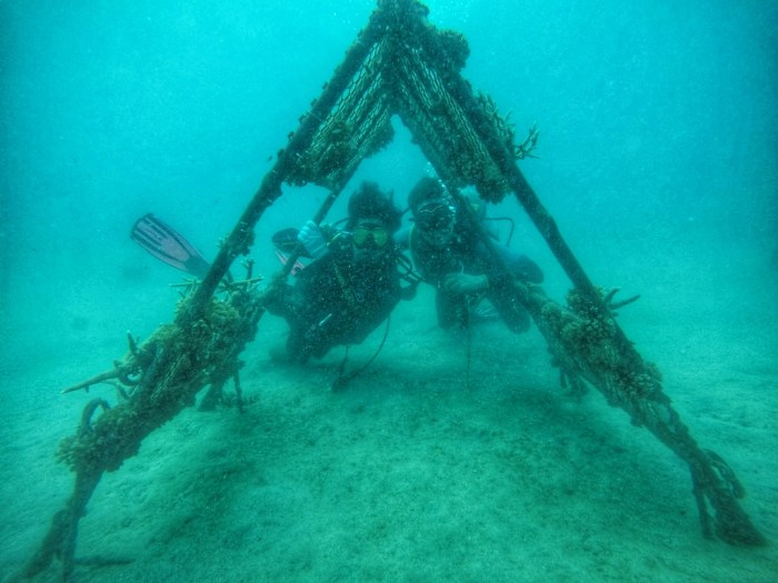 IMG-20191013-WA0019-01