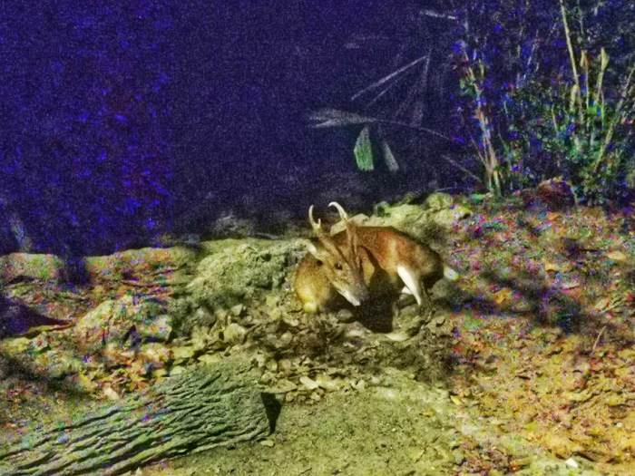 IMG_20190919_202436-01-912x684