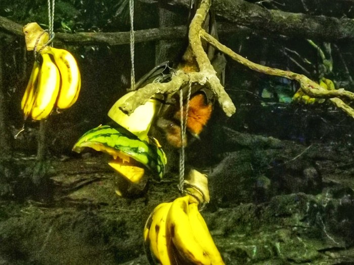 IMG_20190919_202657-01-912x684