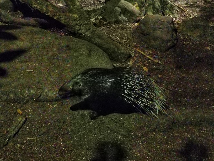 IMG_20190919_203947-01-912x684