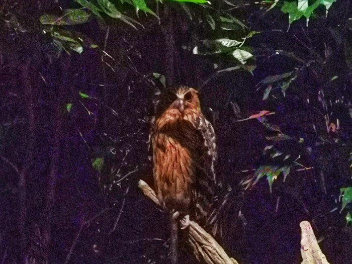 IMG_20190919_204140-01-912x684