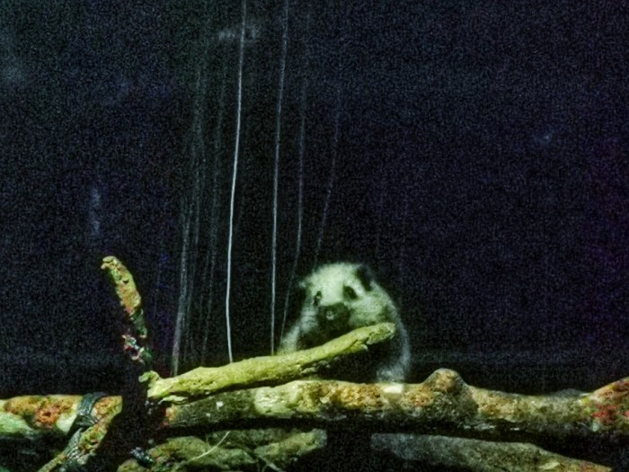 IMG_20190919_204553-01-912x684