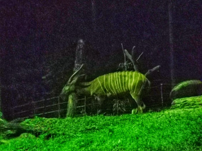 IMG_20190919_210945-01-912x684