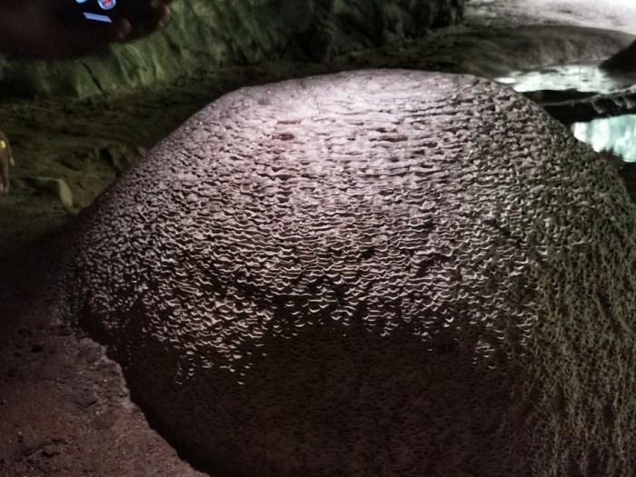 IMG_20190924_095248-01-912x684