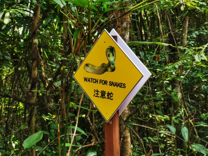 IMG_20190924_113510-01-912x684