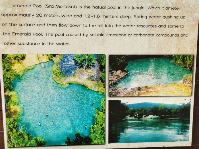 IMG_20190924_114646-01-912x684