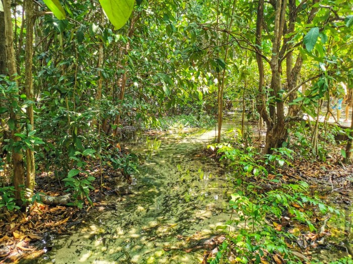 IMG_20190924_114721-01-912x684