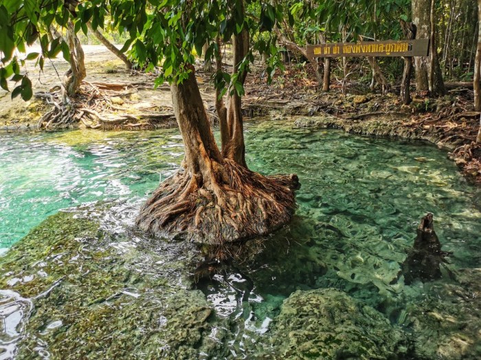 IMG_20190924_115107-01-912x684