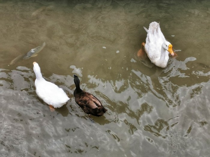 IMG_20191006_090521-01-912x684