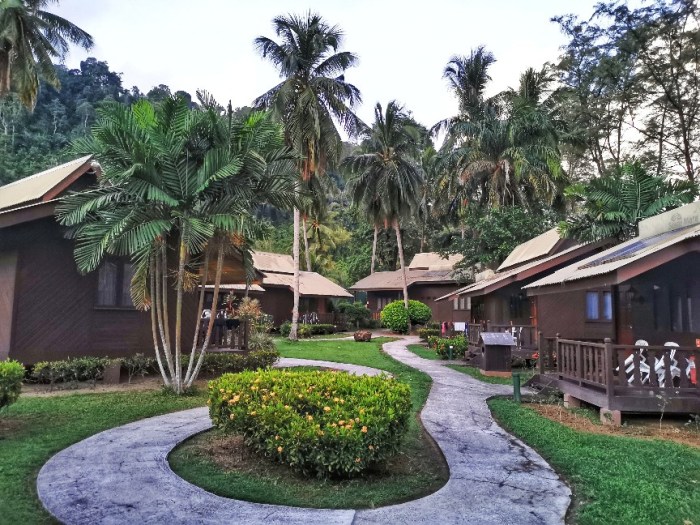 IMG_20191012_063818-01-864x648