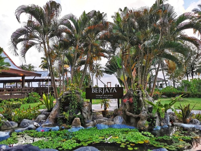 IMG_20191012_064831-01-864x648