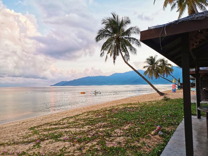 IMG_20191012_065010-01-864x648