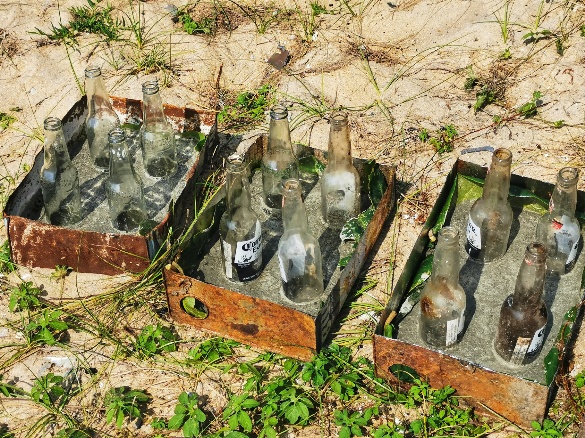 IMG_20191012_153514-01-585x438