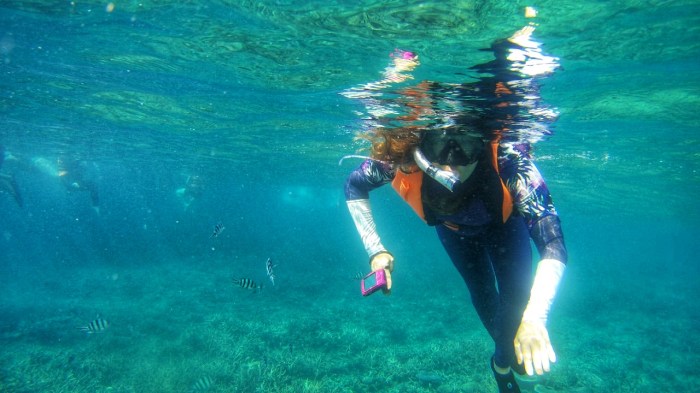 IMG_20191012_164326_069-01