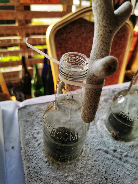 IMG_20191012_172343_BURST001_COVER-01-585x780