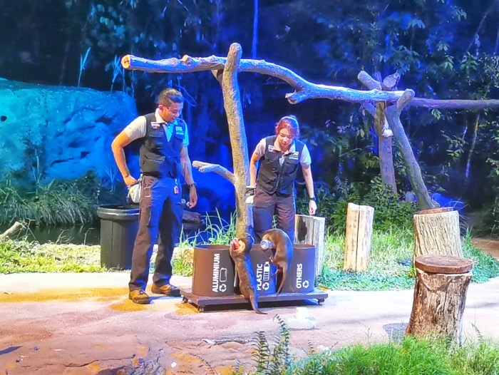 Screenshot_20191003_145940_com.huawei.himovie.overseas-01