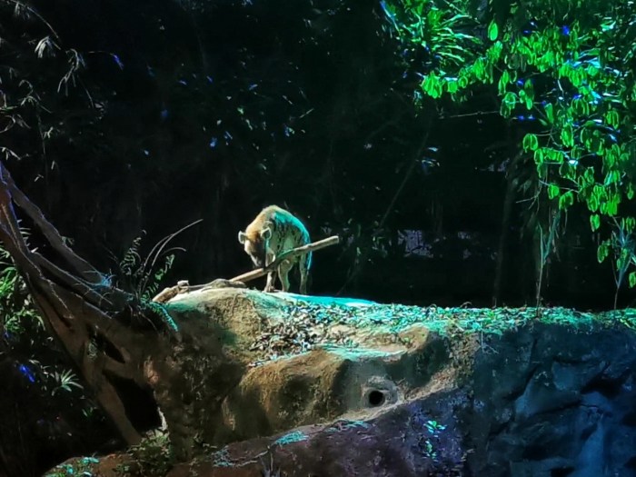 Screenshot_20191003_150026_com.huawei.himovie.overseas-01