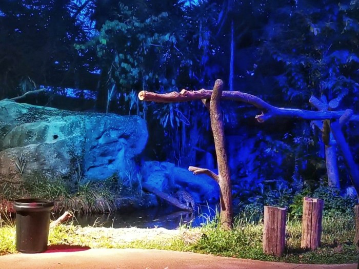 Screenshot_20191003_150109_com.huawei.himovie.overseas-01