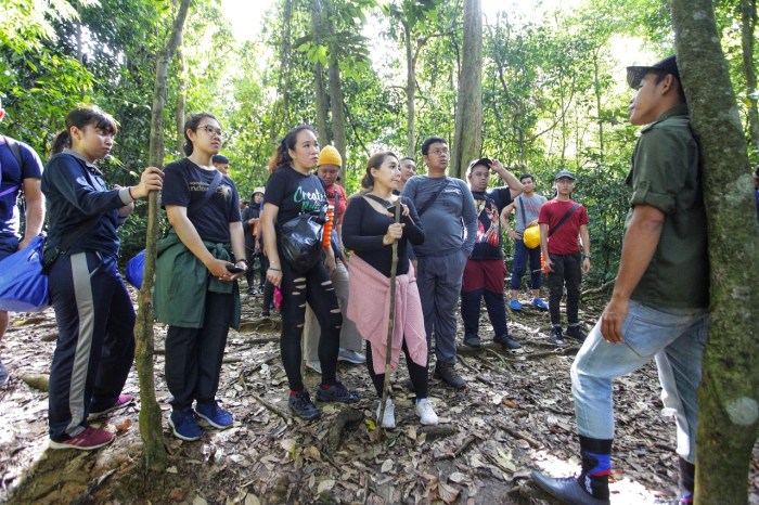 201911042036760156536230205-01