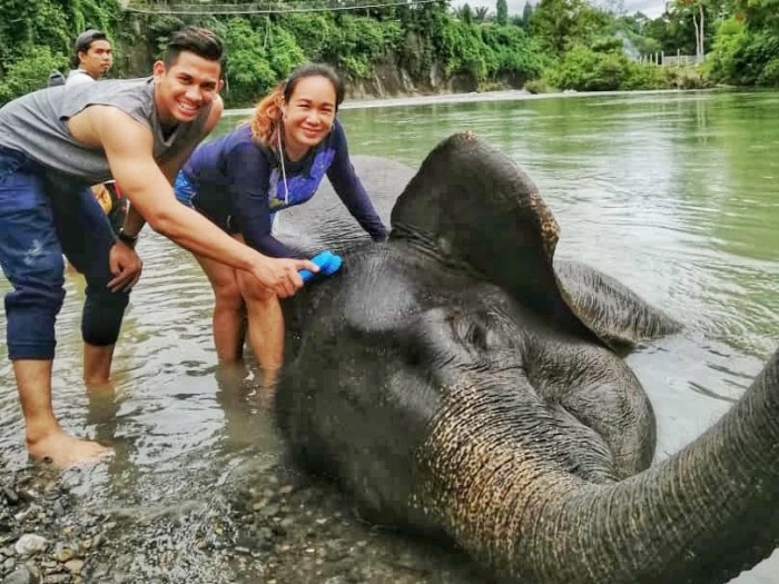 IMG-20191030-WA0012-01-01