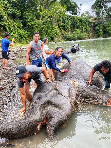 IMG_20191030_084430_639-01-450x600