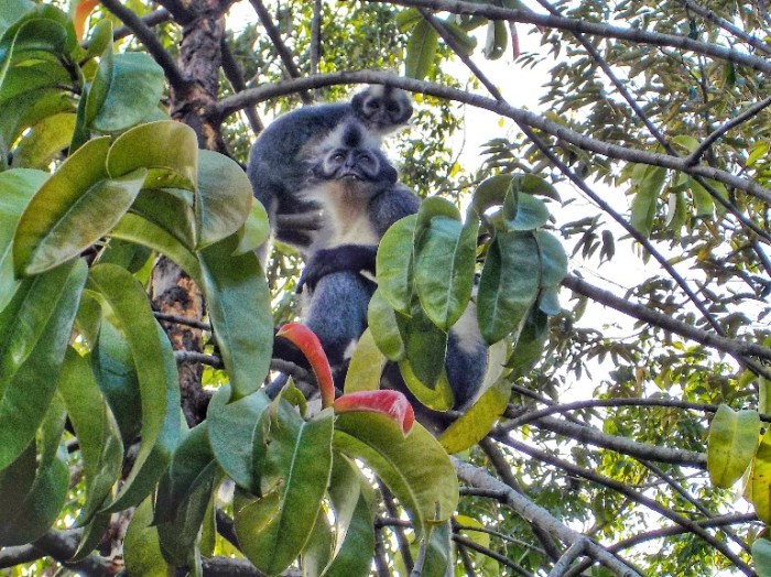 IMG_20191030_095536-01-769x576