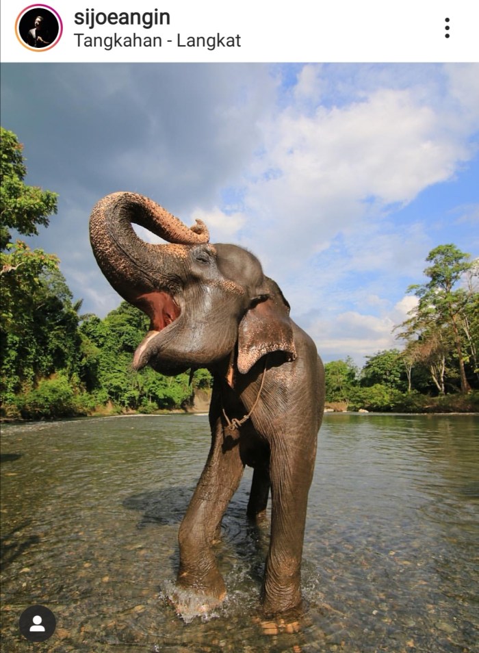 Screenshot_20191105_173230