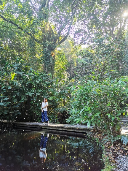 202001091088863100931556840-432x576