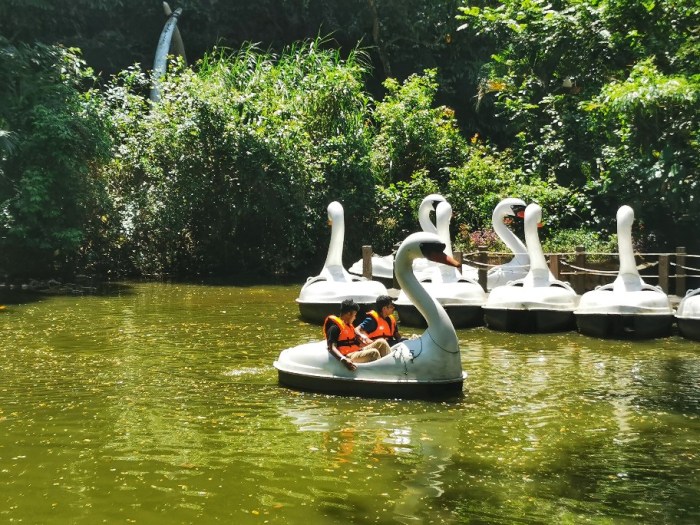 IMG_20200125_134859-01-912x684