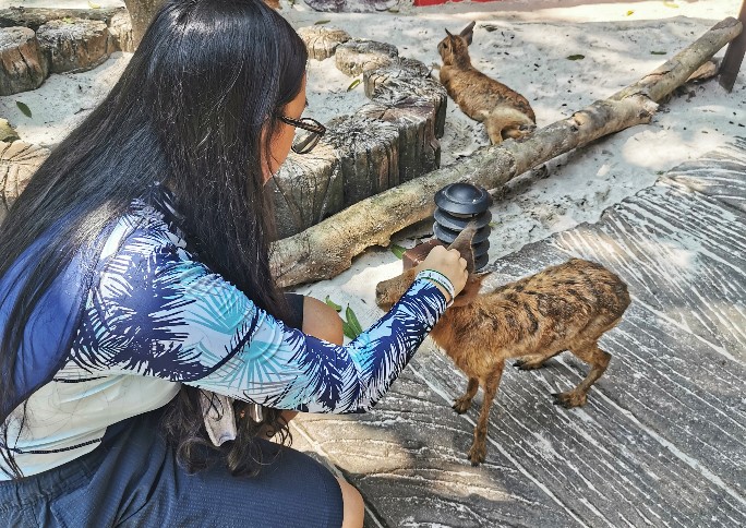 IMG_20200125_140655-01-684x484