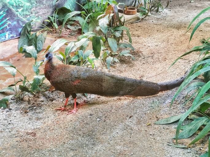 IMG_20200125_161933-01-684x513