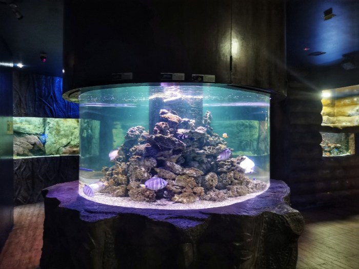 IMG_20200224_151249-01-912x684