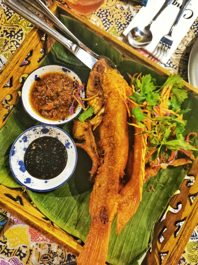 IMG_20200225_204742-01-684x912