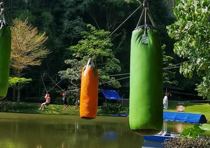 Screenshot_20200202_061327_com.huawei.himovie.overseas-01