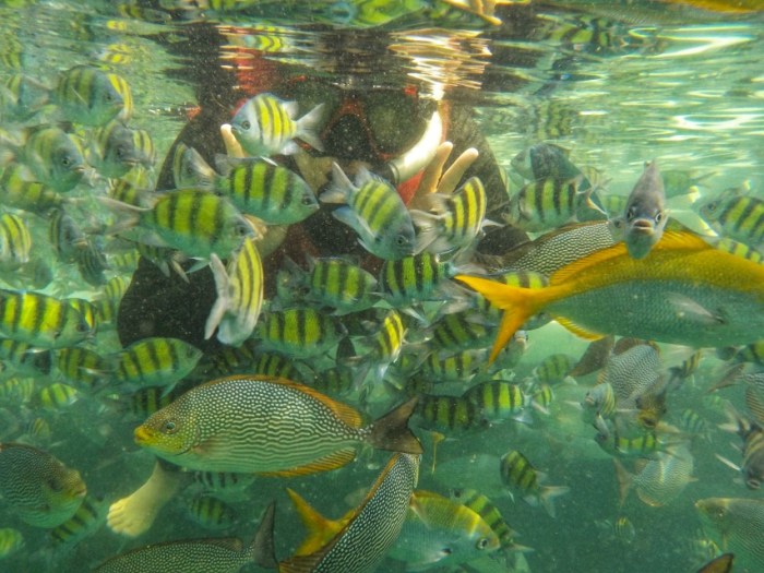 20200307175938-01_copy_853x640