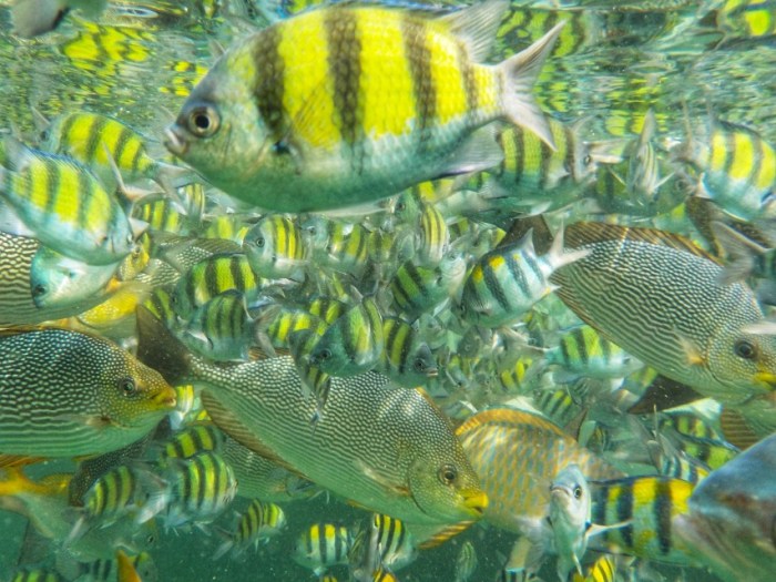 20200307175945-01_copy_853x640