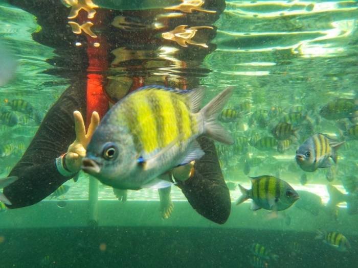 20200307175959-01_copy_853x640